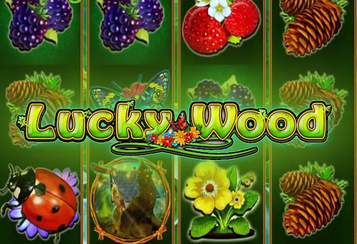Activate your Cocoa Casino free spins deposit.