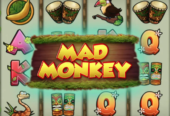 Play popular slots with Cocoa Casino's exclusive 40 no deposit free spins