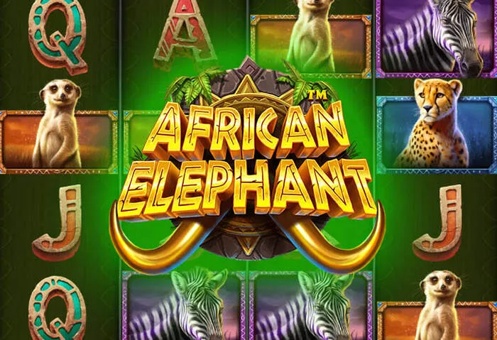 Profitez des Code Sans Dépôt et Offres de Jetons Gratuits Cocoa Casino.