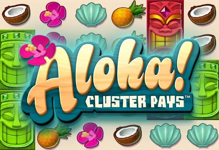 Ambiente di gioco Giochi da Casinò Cocoa sicuro e regolamentato