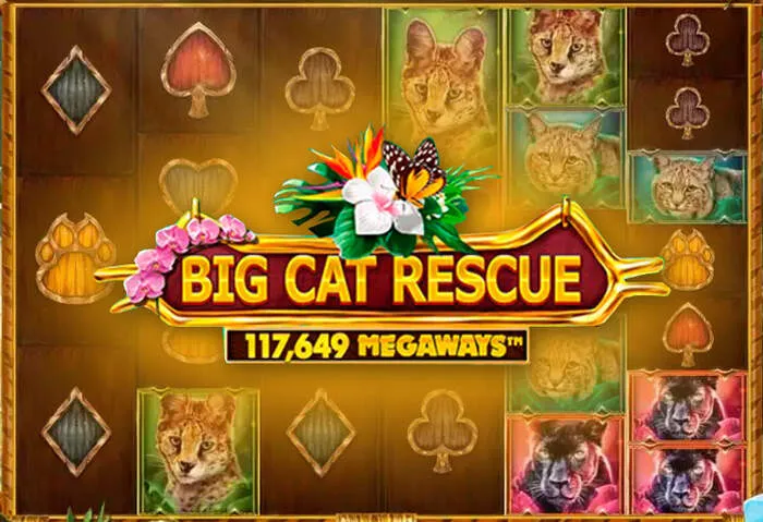 Piattaforma sicura Cocoa Casino Deposito e Prelievo