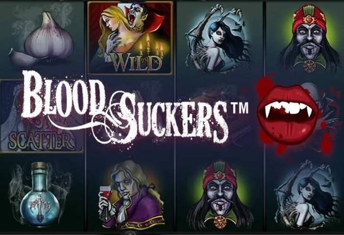 Positiver Cocoa Casino Auszahlungs-Review von Spielern.